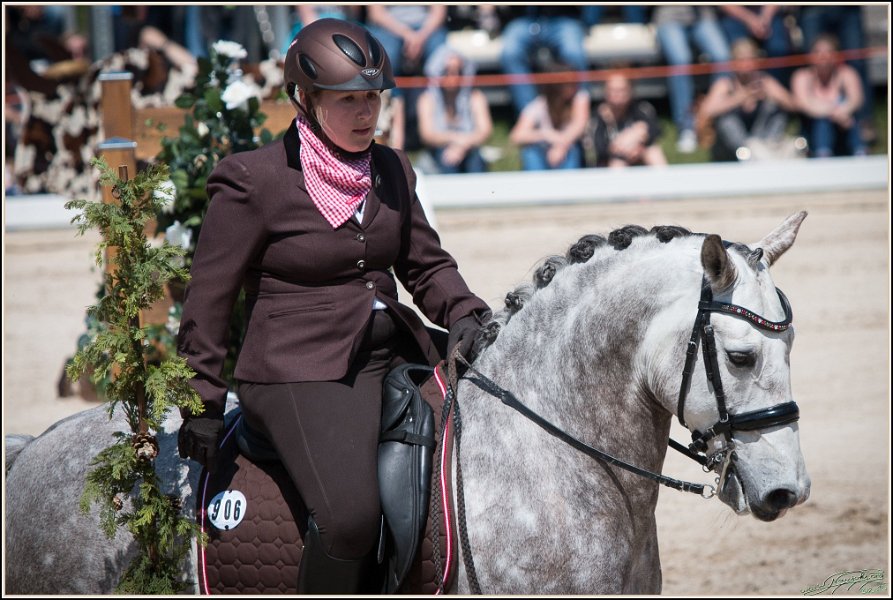 Pferd International 116